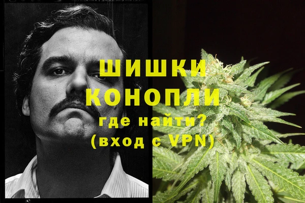 спиды Армянск