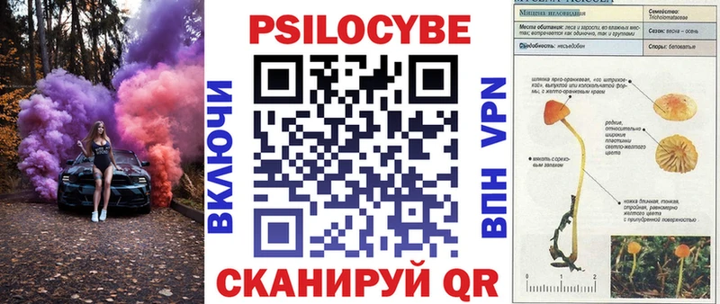 Галлюциногенные грибы прущие грибы площадка наркотические препараты Салаир хочу наркоту
