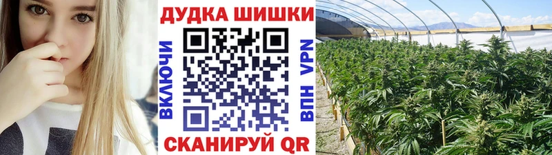 где продают наркотики  Салаир  блэк спрут зеркало  Конопля White Widow 
